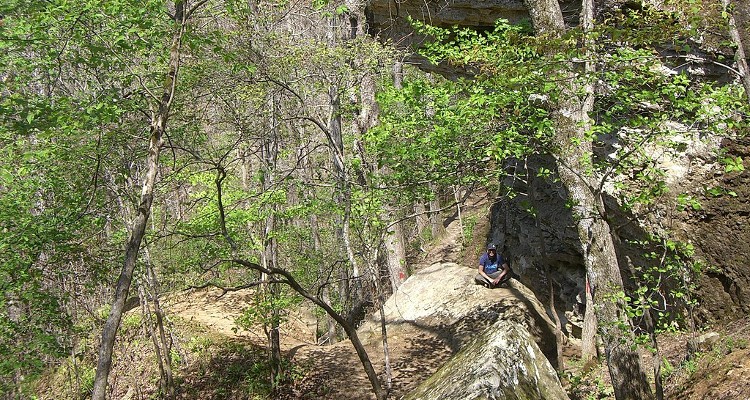 Katherine van Alst Wald des Devil's Den State Parks