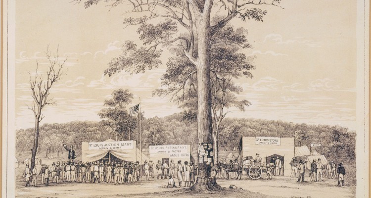 Mc Ivor Ausgrabungen 26. Juli 1853